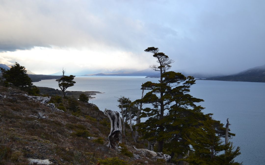 EL EMBRUJO DE TIERRA DEL FUEGO | O Diario de una “pasajera”
