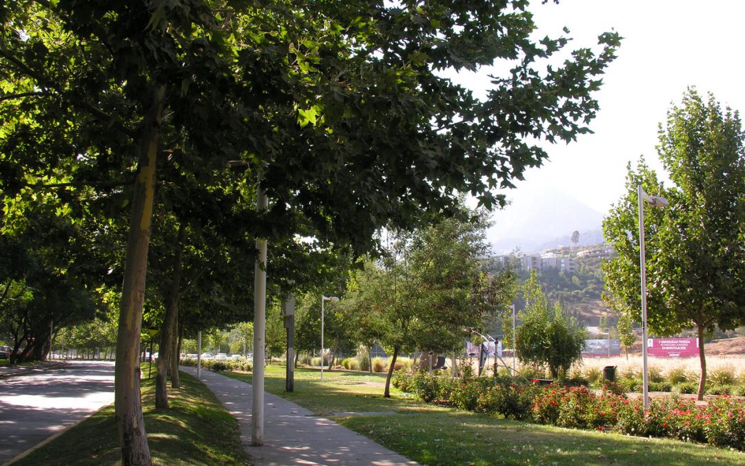 EN VITACURA | Instancias del Parque Mons. Escrivá
