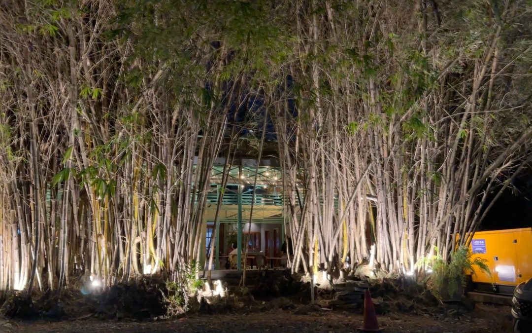 MAITO |  El restaurante que revolucionó la gastronomía panameña