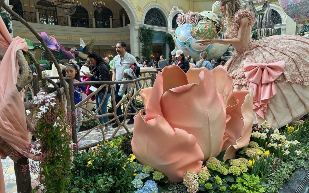 TEA & TULIPS | En explosión de primavera