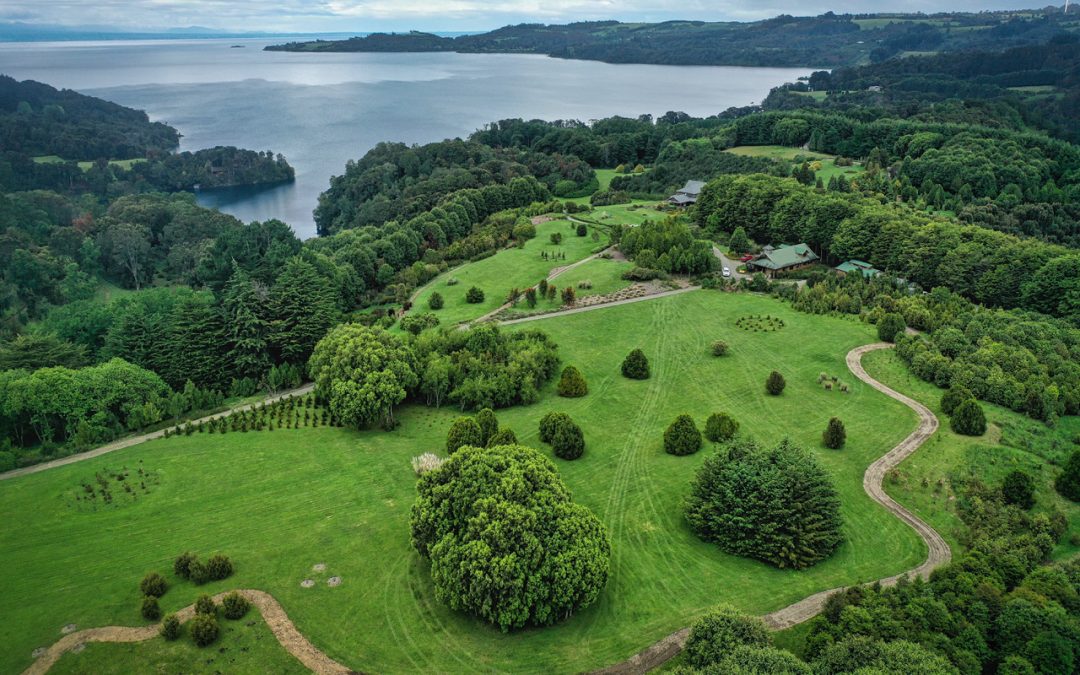 VerdeNativo | Nuevo Jardín Botánico en Lago Llanquihue