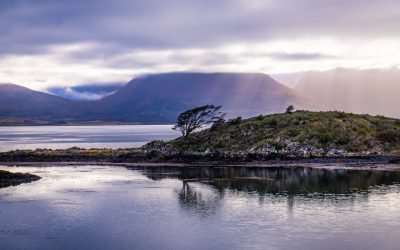 ISLA NAVARINO | Sus Dientes y Legado Yagán