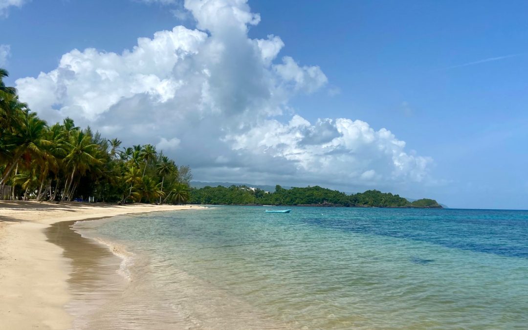 LAS TERRENAS | Paraíso perfecto en el Caribe
